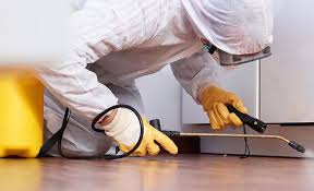 Best Residential Pest Control  in Malone, FL